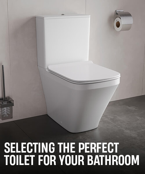 How to Buy the Right Toilet: What to Look For?