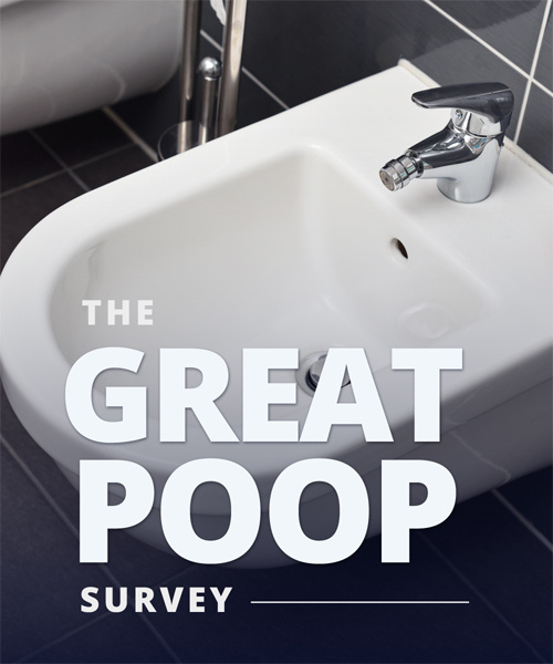 The Great Poop Survey: Comparing Bathroom Habits in the UK and US