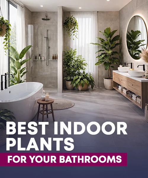 The Best Indoor Plants for Your Bathroom