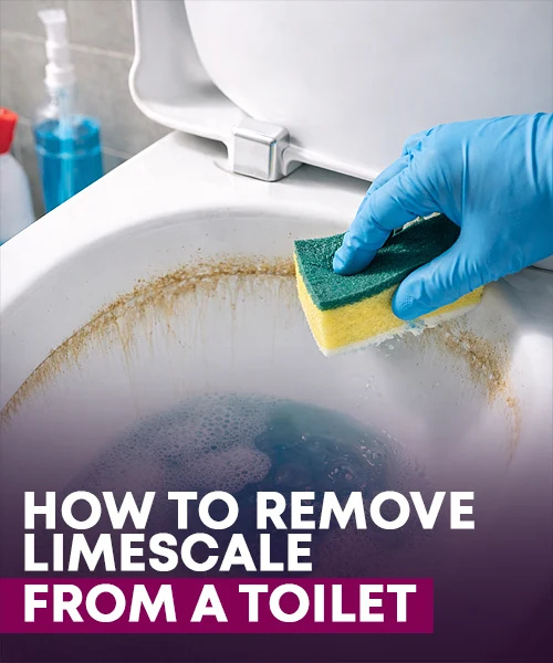 How To Remove Limescale From A Toilet