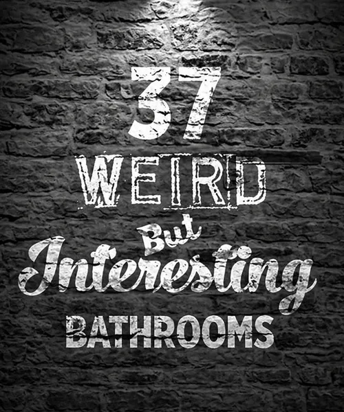 37 Weird & Strange Bathrooms