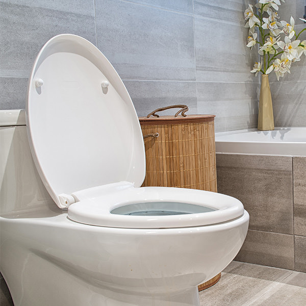 Toilet Seats Buying Guide, Shapes, Materials & More