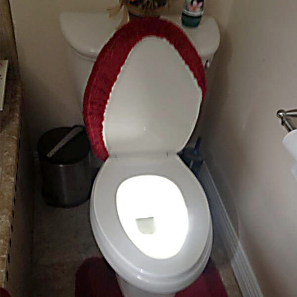 The Glowing Toilet