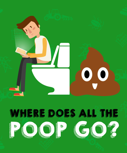 Where Does All The Poop Go?